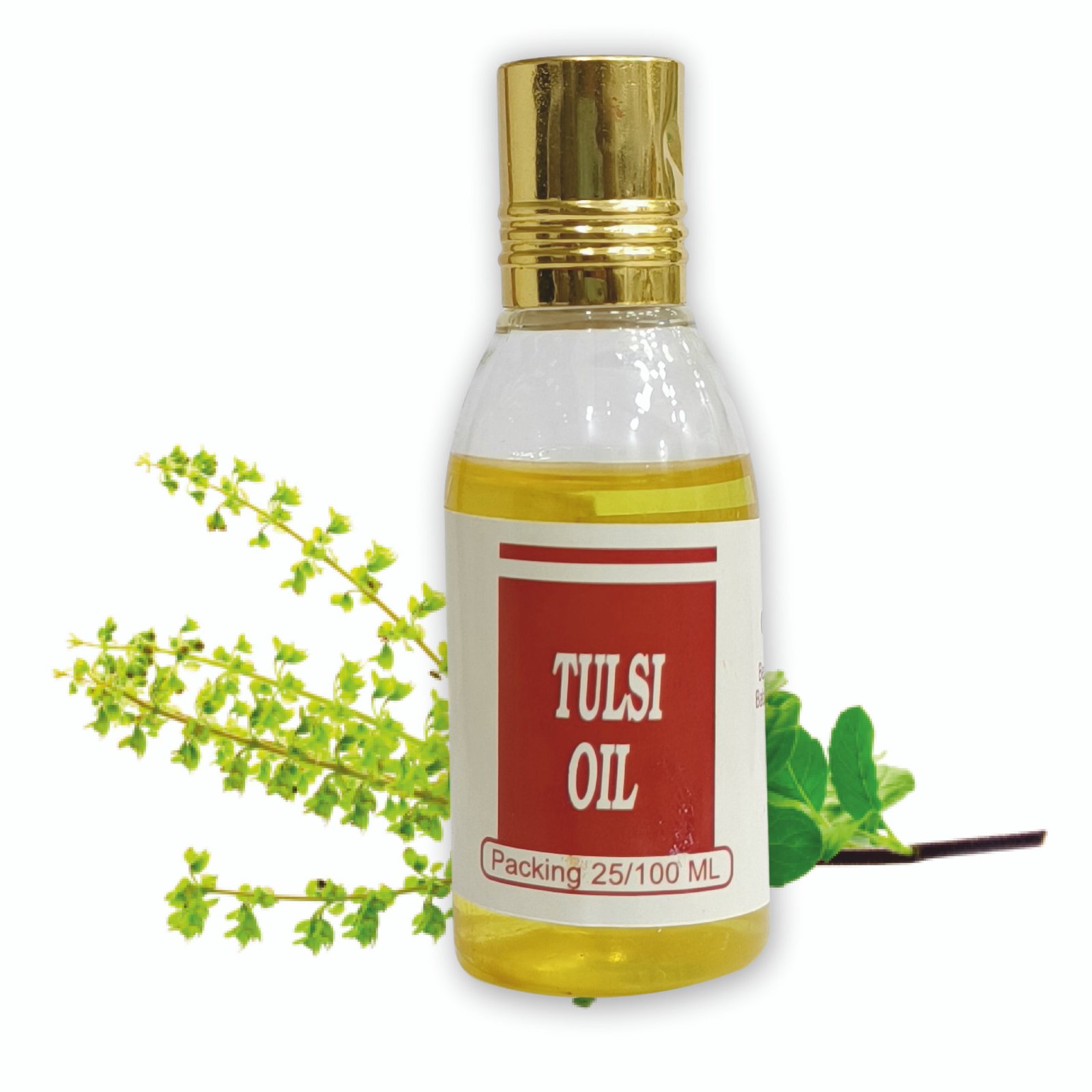 Buy Naturals Tulsi Essential Oil Holy Basil 100 Pure for